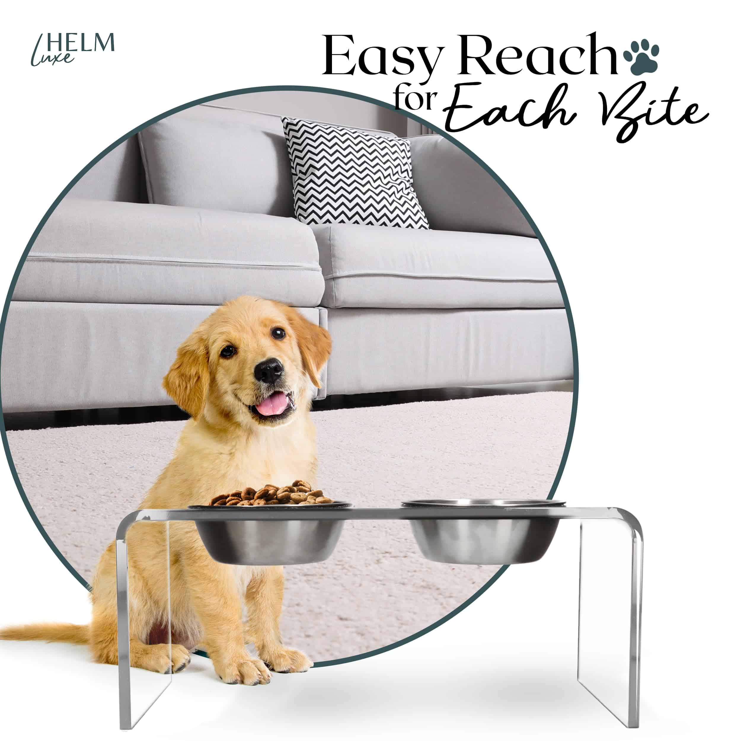 Soporte de tazones de comida para perros de acrílico de - Imagen 7