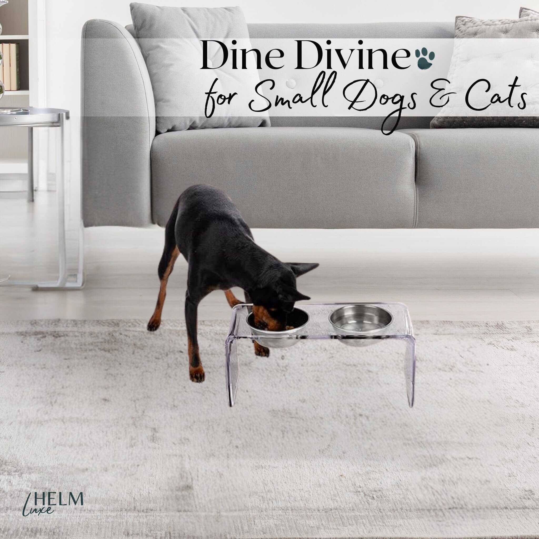 Soporte de tazones de comida para perros de acrílico de - Imagen 6