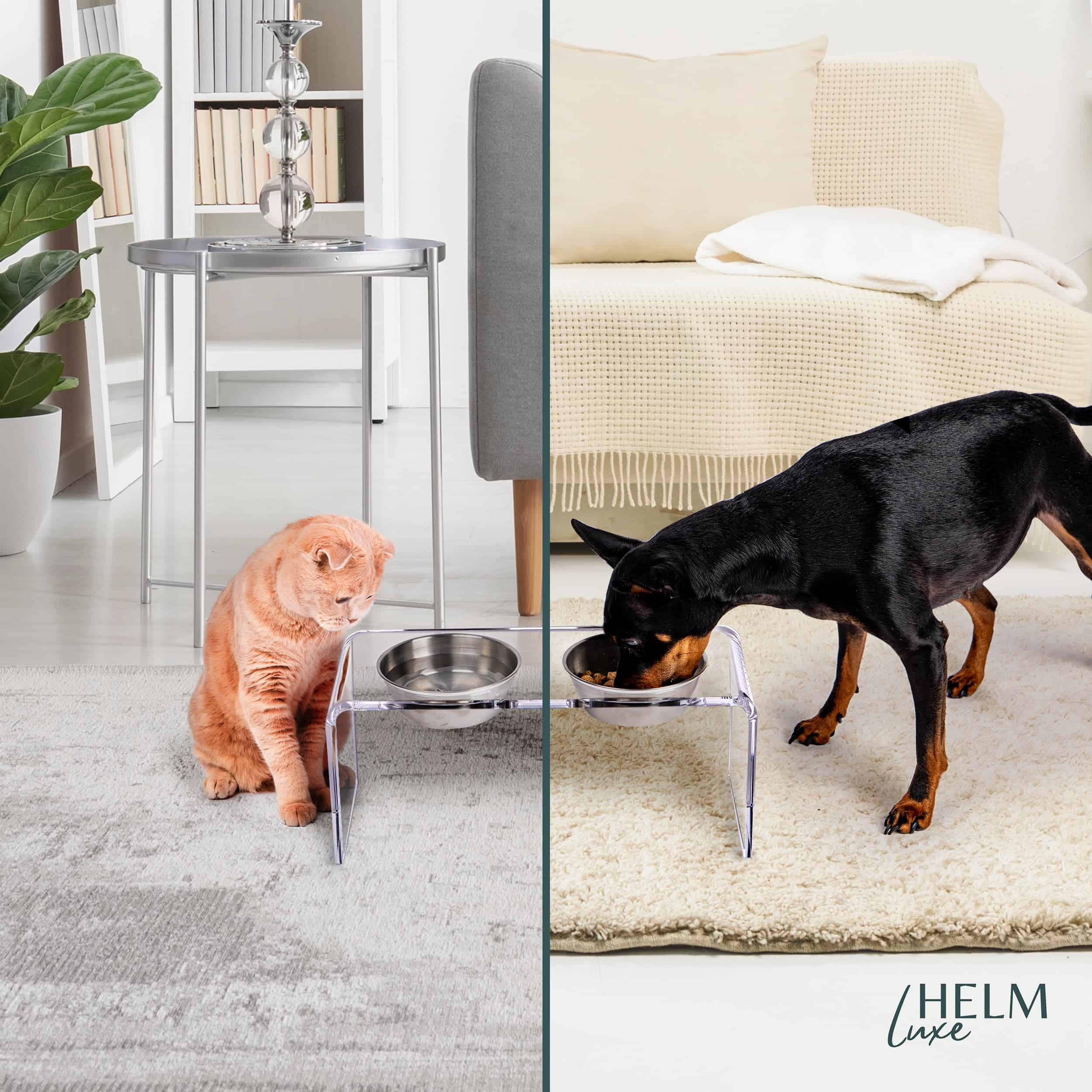 Soporte de tazones de comida para perros de acrílico de - Imagen 4