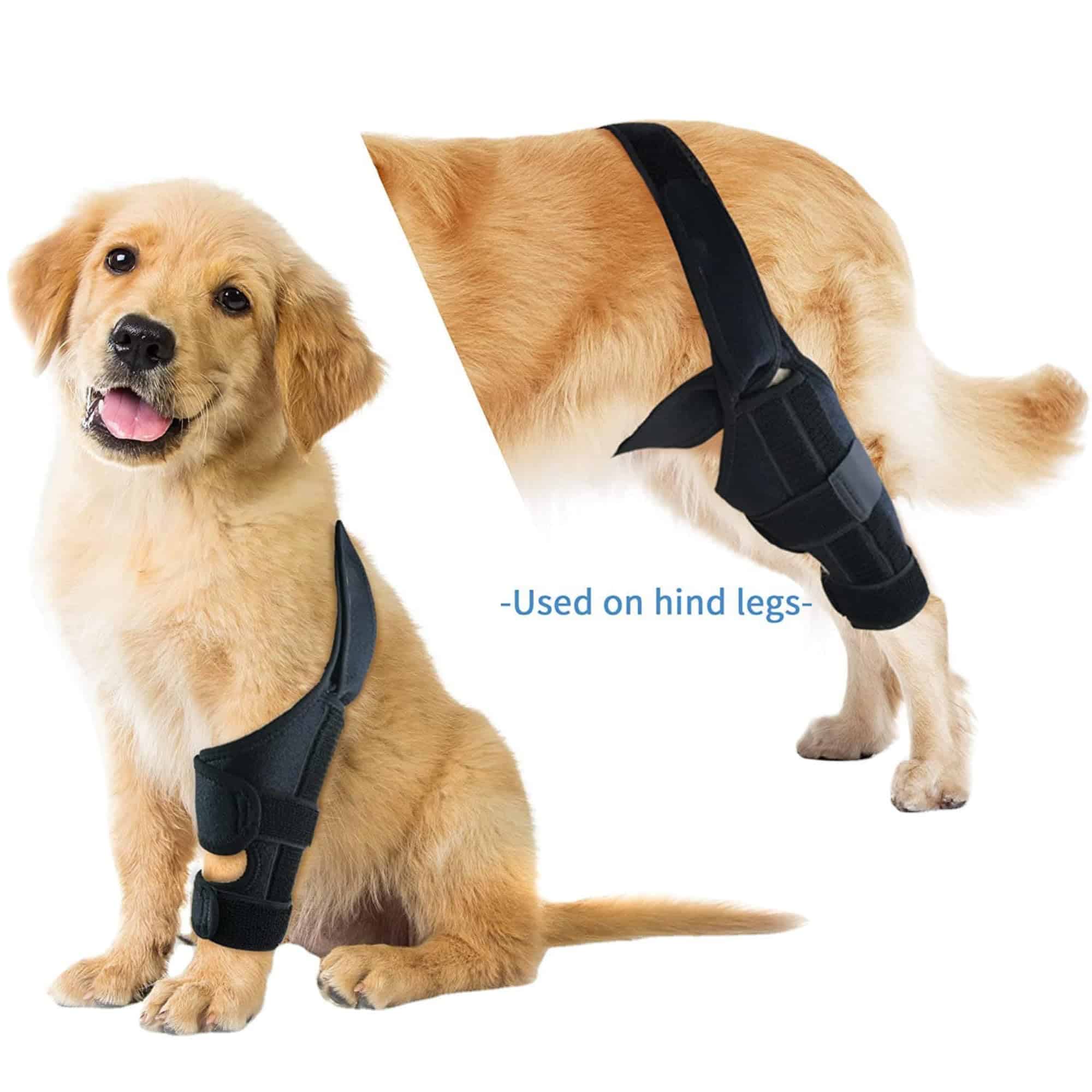 HVSun Rodillera para Perros para Pata Posterior y Trasera, - Imagen 10