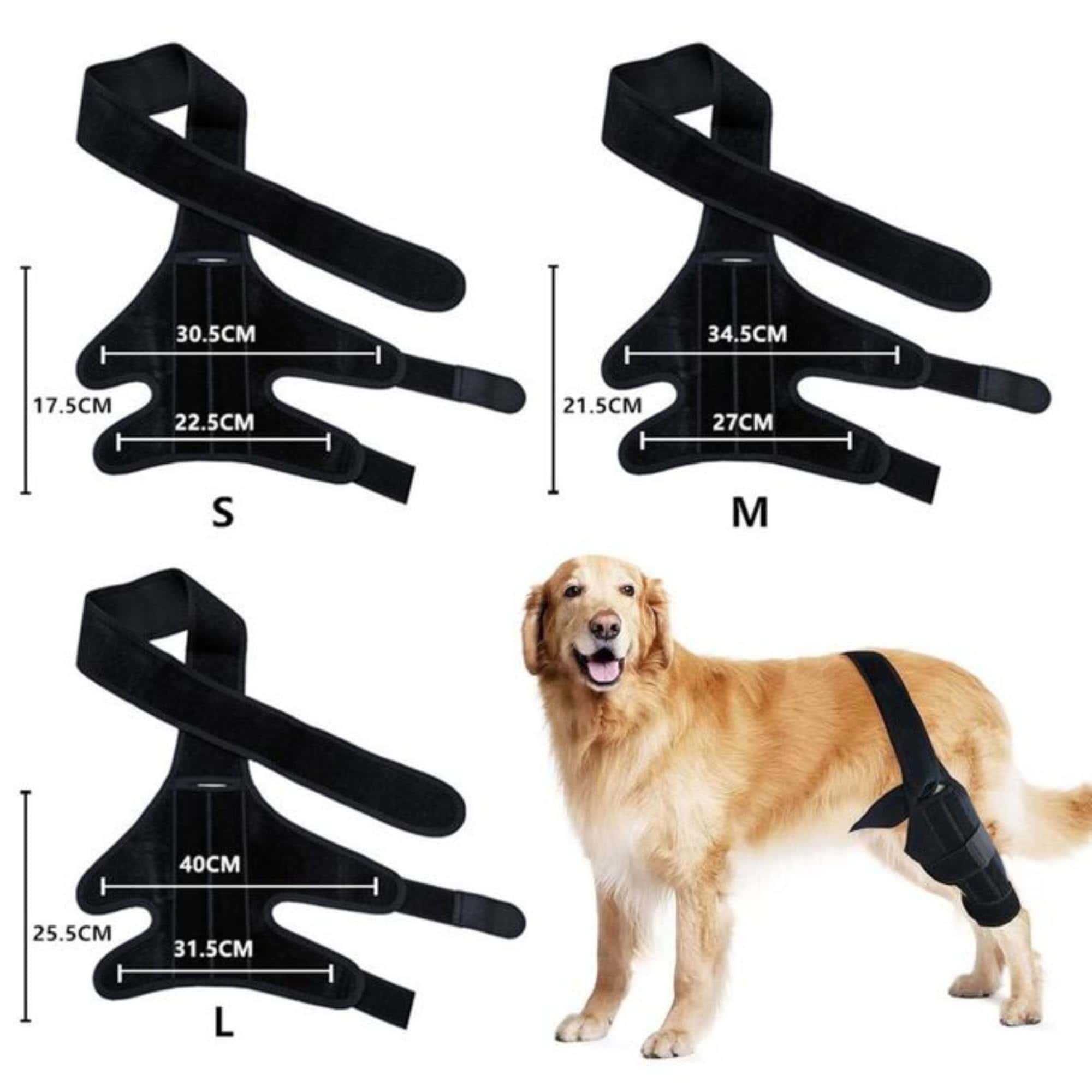 HVSun Rodillera para Perros para Pata Posterior y Trasera, - Imagen 9