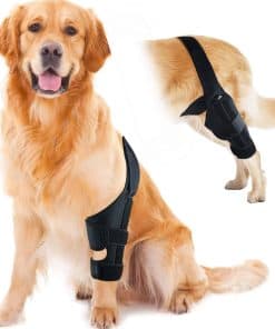 HVSun Rodillera para Perros para Pata Posterior y Trasera,