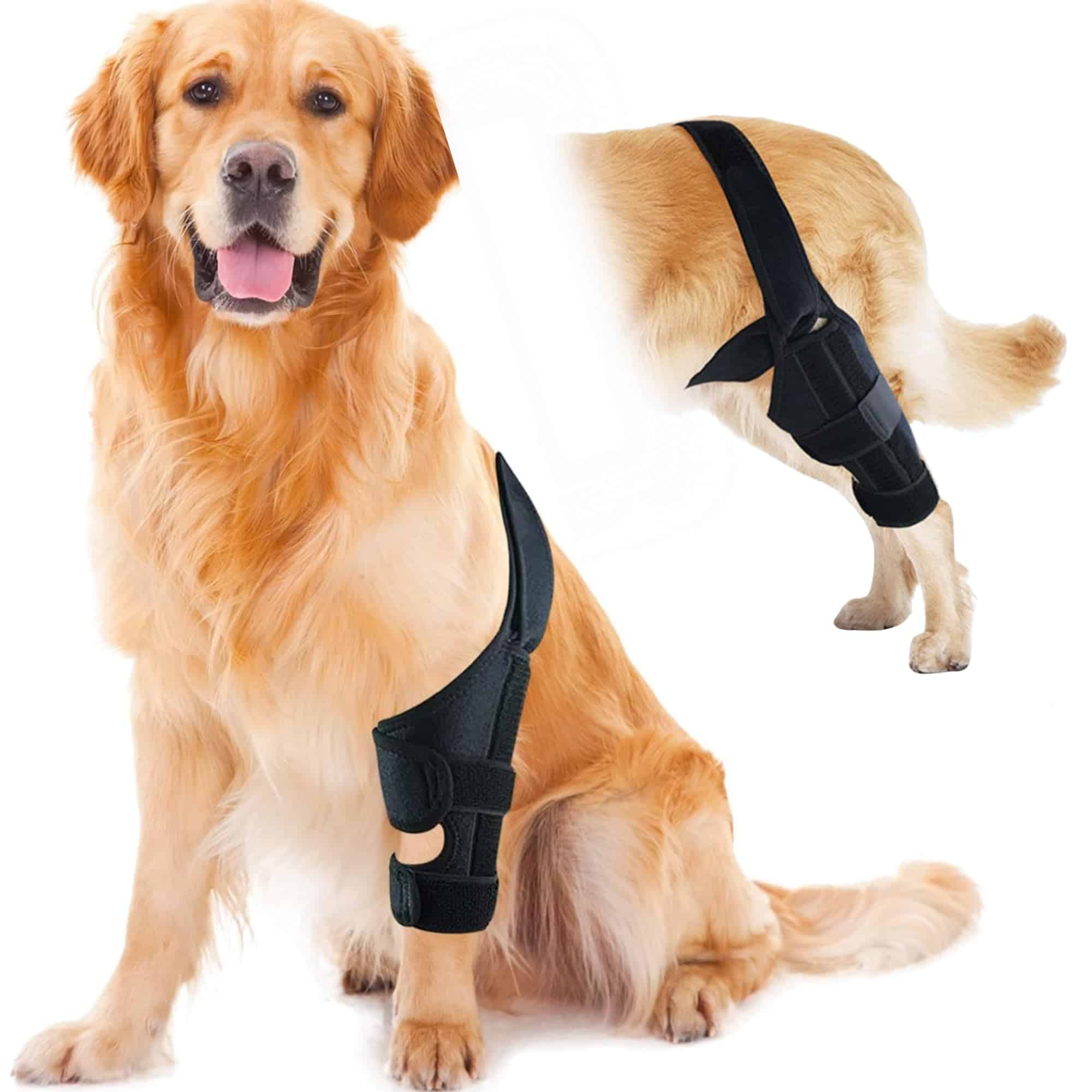 HVSun Rodillera para Perros para Pata Posterior y Trasera,
