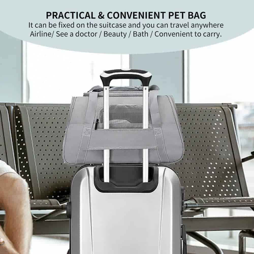 Transportadora para Mascotas YouTik Aprobada por Aerolínea - Imagen 4
