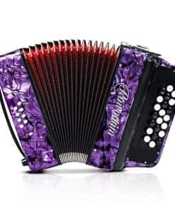 Acordeón - 22 teclas 8 bajos, acordeón piano liviano para