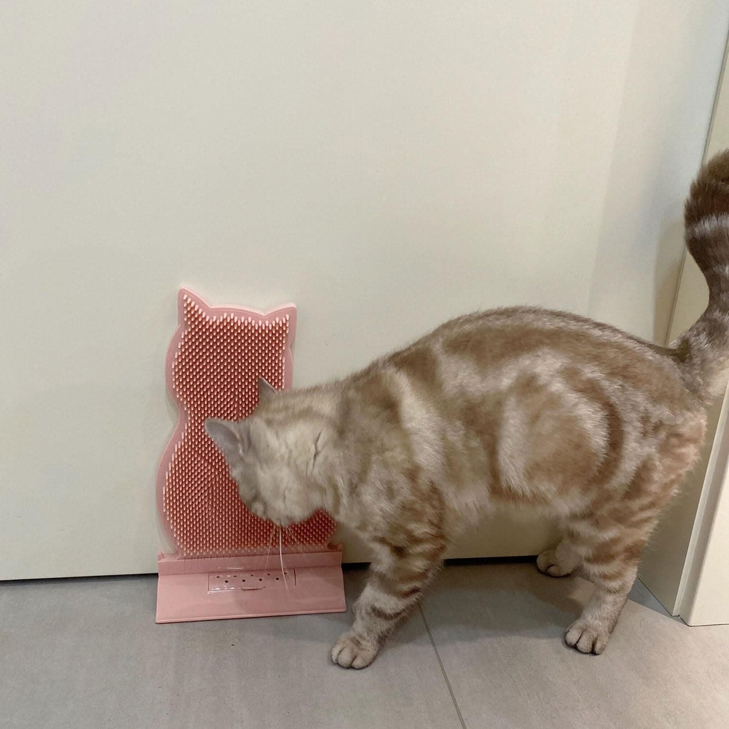 Cepillo Autolimpiador para Esquinas de Gato con Hierba - Imagen 4