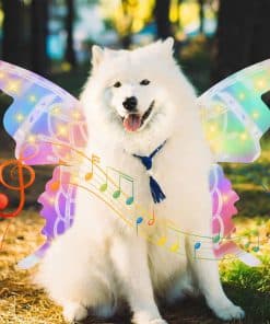 Alas Brillantes para Mascotas, Disfraz de Alas de Hada