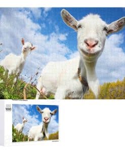 Rompecabezas para Adultos 1000 Piezas, Rompecabezas