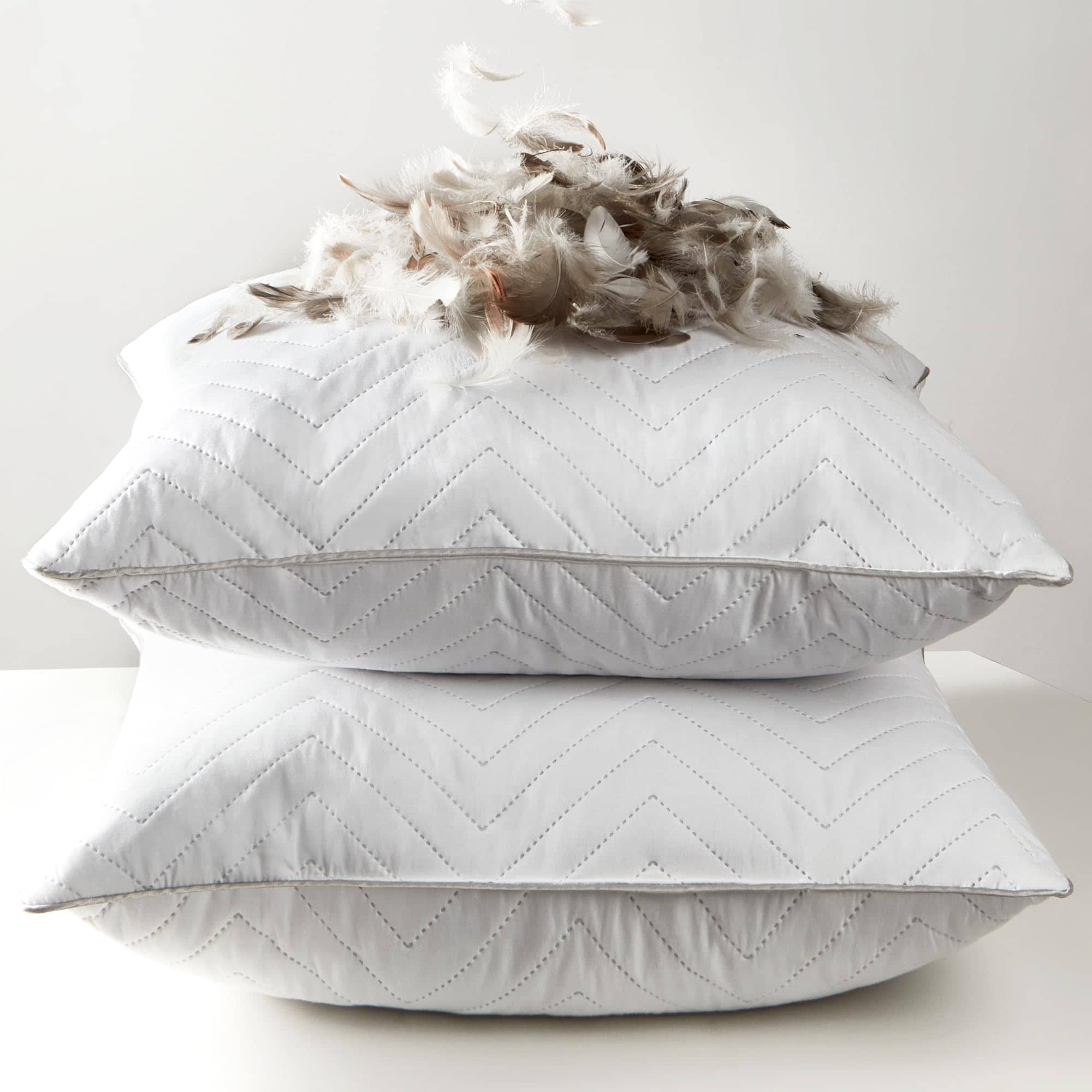Almohadas de Plumas de Ganso Bafode Set de 2, 18x18 lujosas