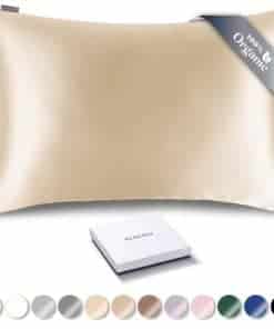 Funda de Almohada de Seda Orgánica RENESSY -Champagne