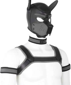 Conjunto de 4 Mascotas de Neopreno Jecrizy Máscara de