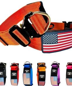 Collar táctico de 2 pulgadas para perros - Collares gruesos