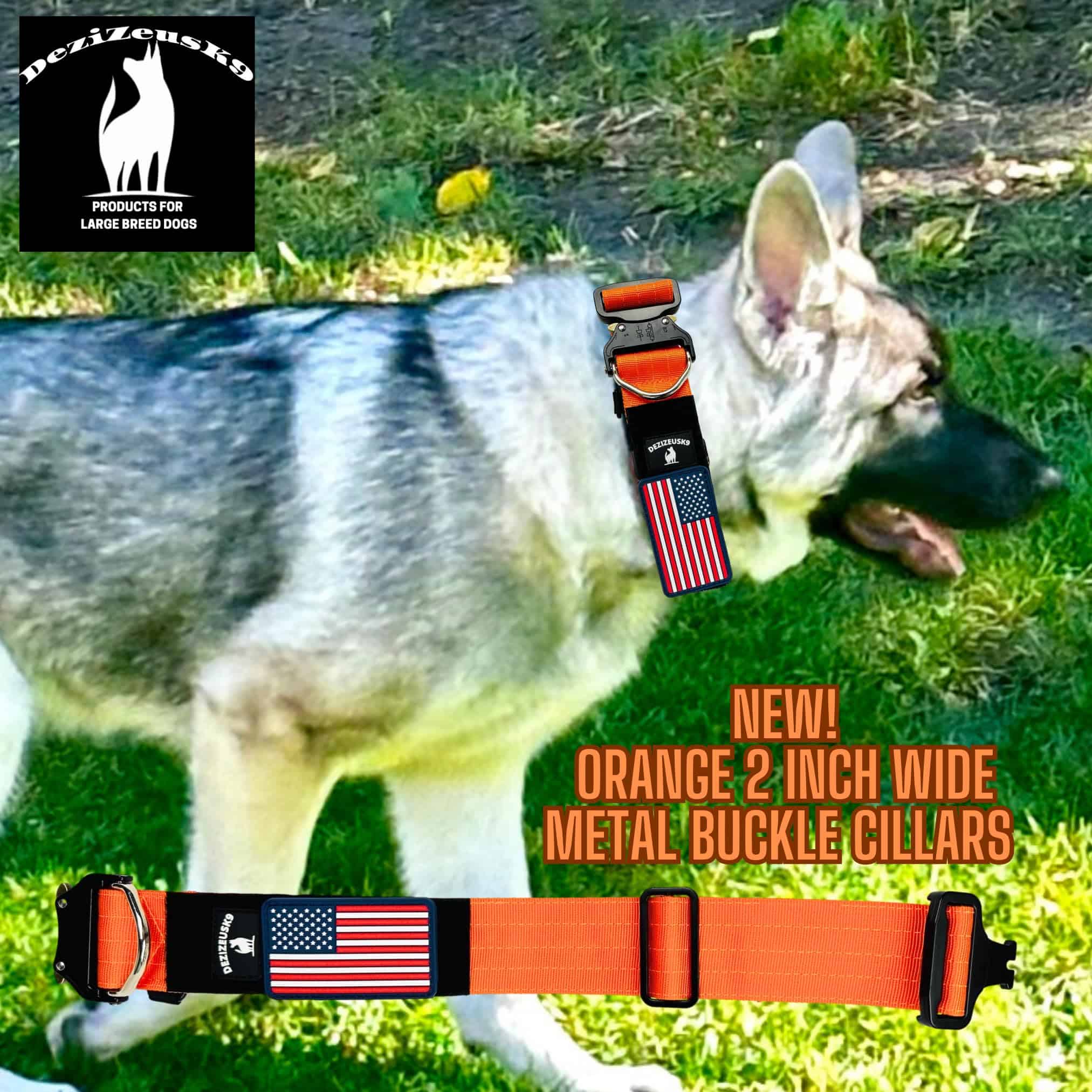 Collar táctico de 2 pulgadas para perros - Collares gruesos - Imagen 4