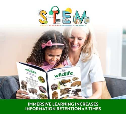 Let's Explore VR Headset for Kids - STEM Gift Box | Una - Imagen 11