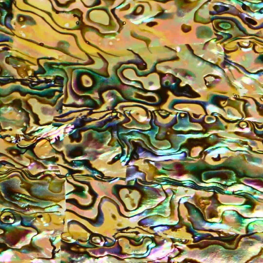 Chapa de incrustación de concha de abulón para DIY o