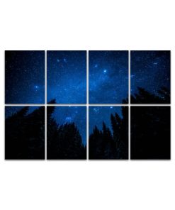 Paneles Acústicos Artísticos, bosque nocturno brillante