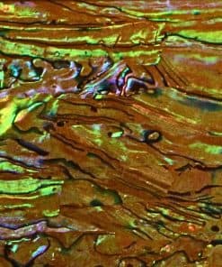 Chapado de concha de abulón para adornos de incrustaciones