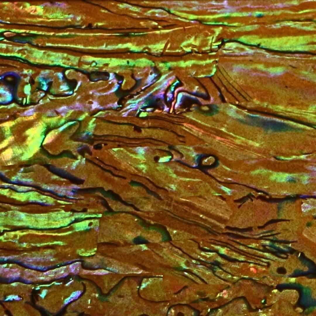 Chapado de concha de abulón para adornos de incrustaciones