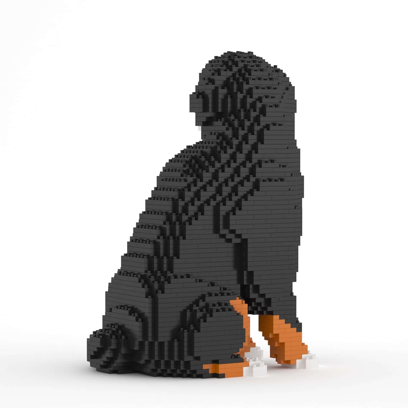 JEKCA Bernese Mountain Dog 05SB (Versión 2023) | Bloques de - Imagen 5