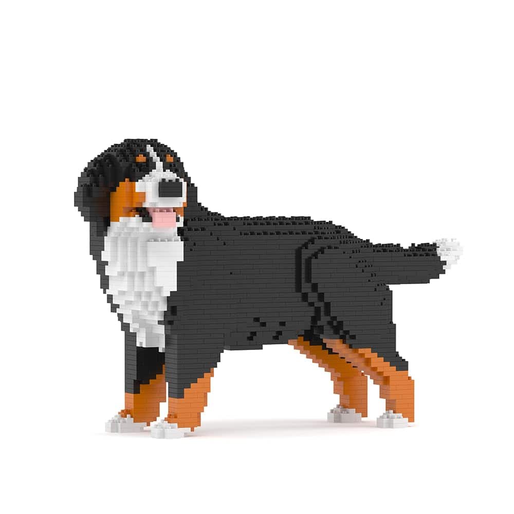 JEKCA Bernese Mountain Dog 03SB (Versión 2023) | Bloques de