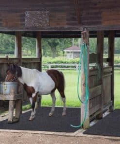 Tapetes para Caballos/Establo Meitola - Tapetes Resistentes