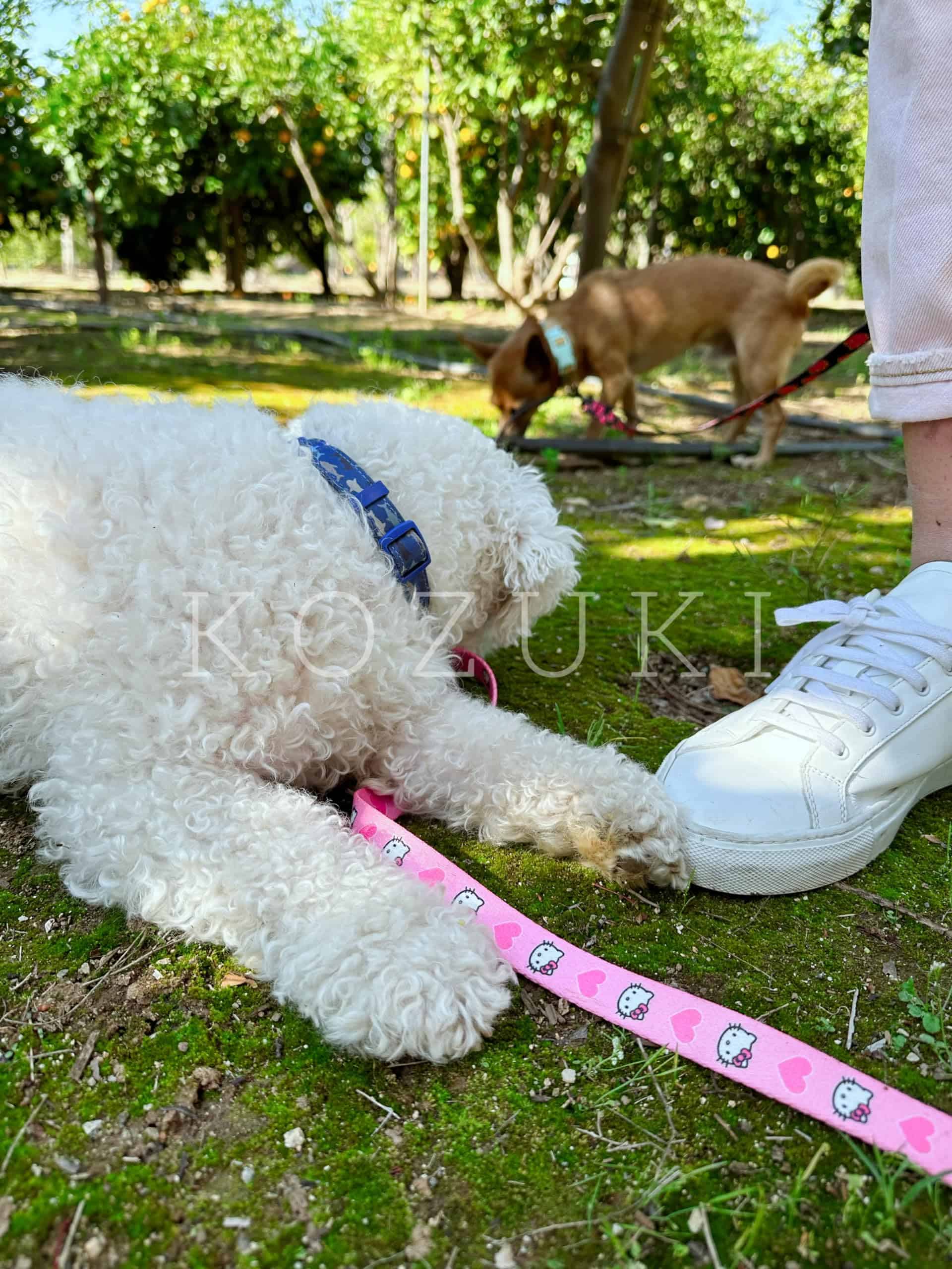 Correa de Anime para Perros Correa de Anime para Mascotas - Imagen 3