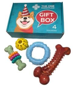 Caja de Regalo para Perros de The One Marketplace -