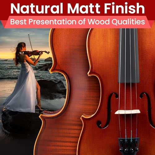 Violín de Madera Maciza Pyle, Tapa de Abeto y Lados de Arce - Imagen 4
