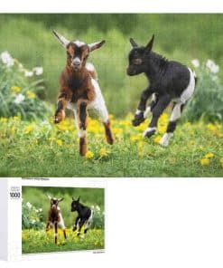 Rompecabezas para Adultos 1000 Piezas, Dos Pequeñas Cabras