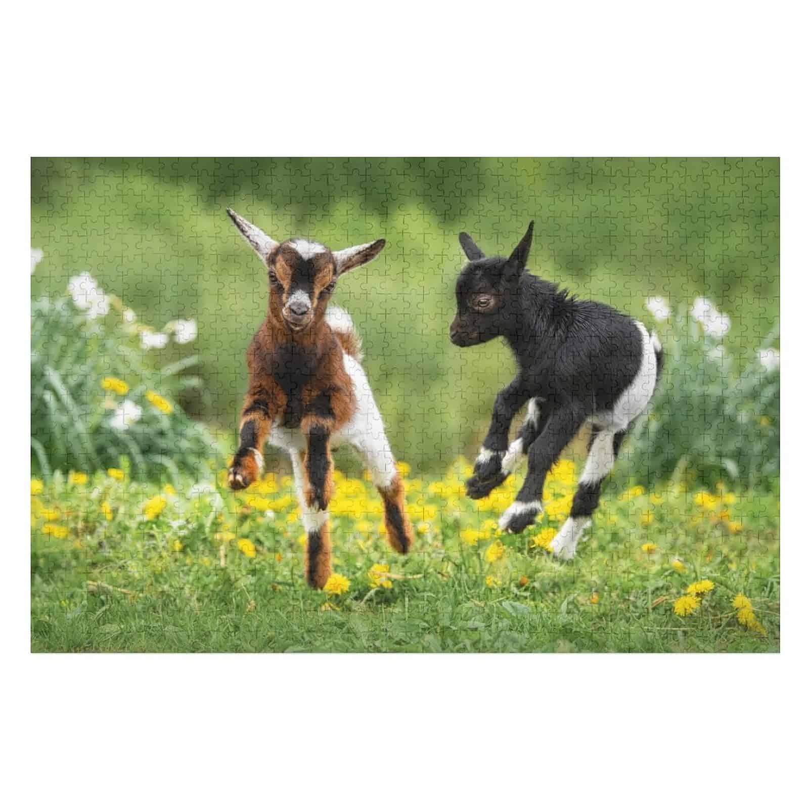 Rompecabezas para Adultos 1000 Piezas, Dos Pequeñas Cabras - Imagen 4