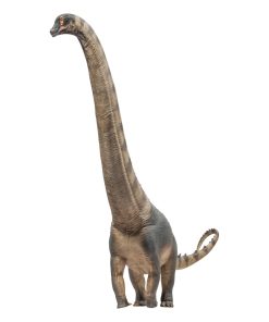 Modelos de Dinosaurios Prehistóricos PNSO (79 Samuel El