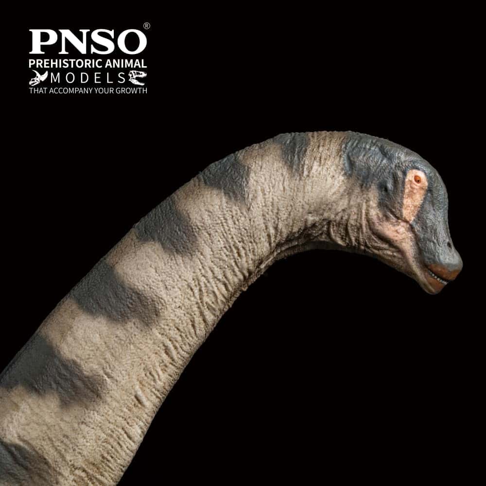 Modelos de Dinosaurios Prehistóricos PNSO (79 Samuel El - Imagen 6