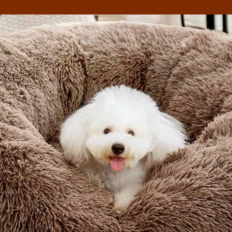 Conjunto de Cama para Gatos y Perros BleezeBlessz Calmante - Imagen 3