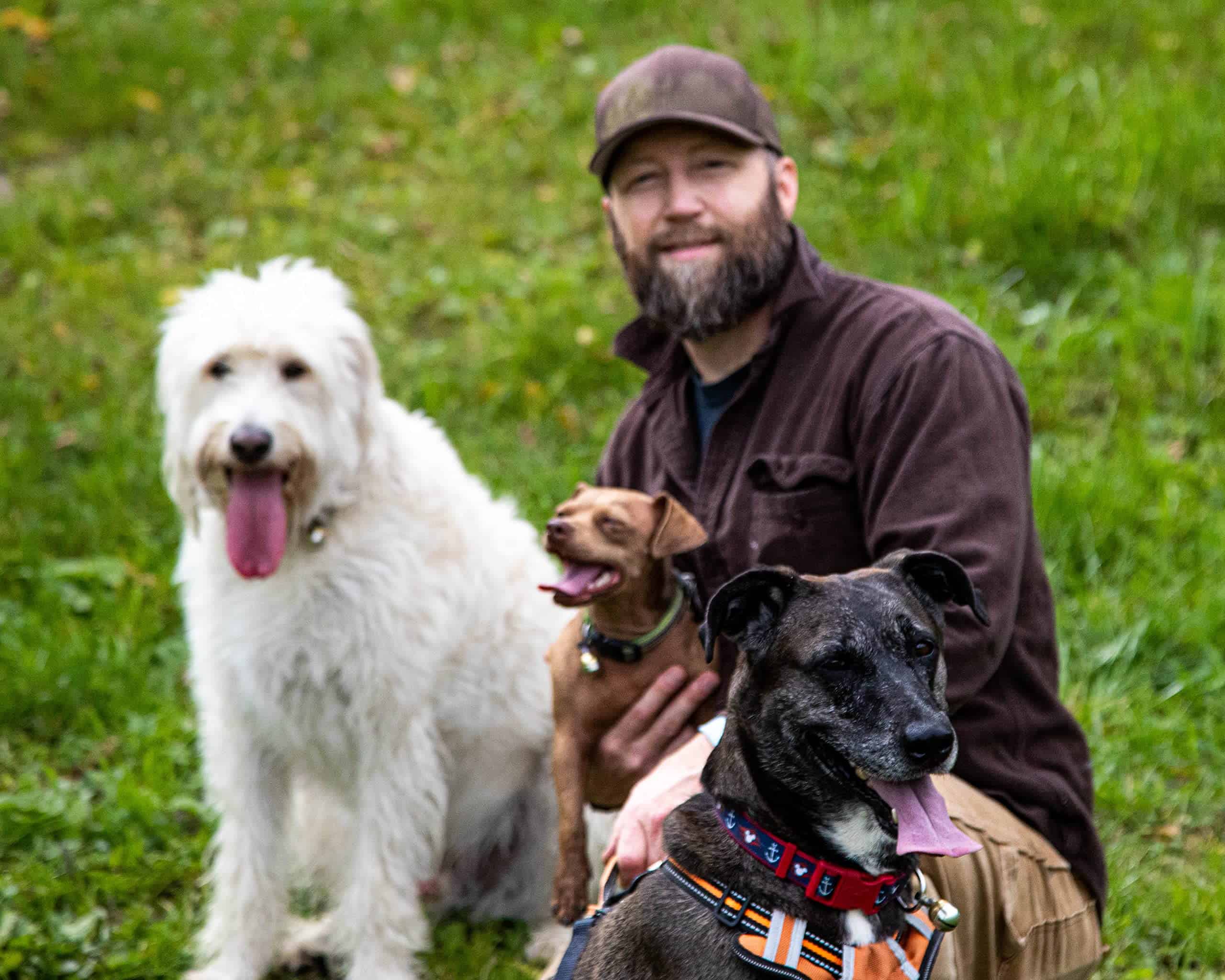 Campanas Noble para mascotas, par de dos campanas de latón - Imagen 6