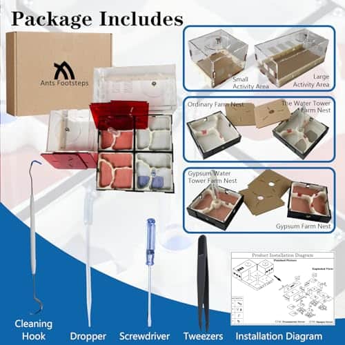 Hormigas Huellas Granja de Hormigas Nido Ciencia DIY - Imagen 7
