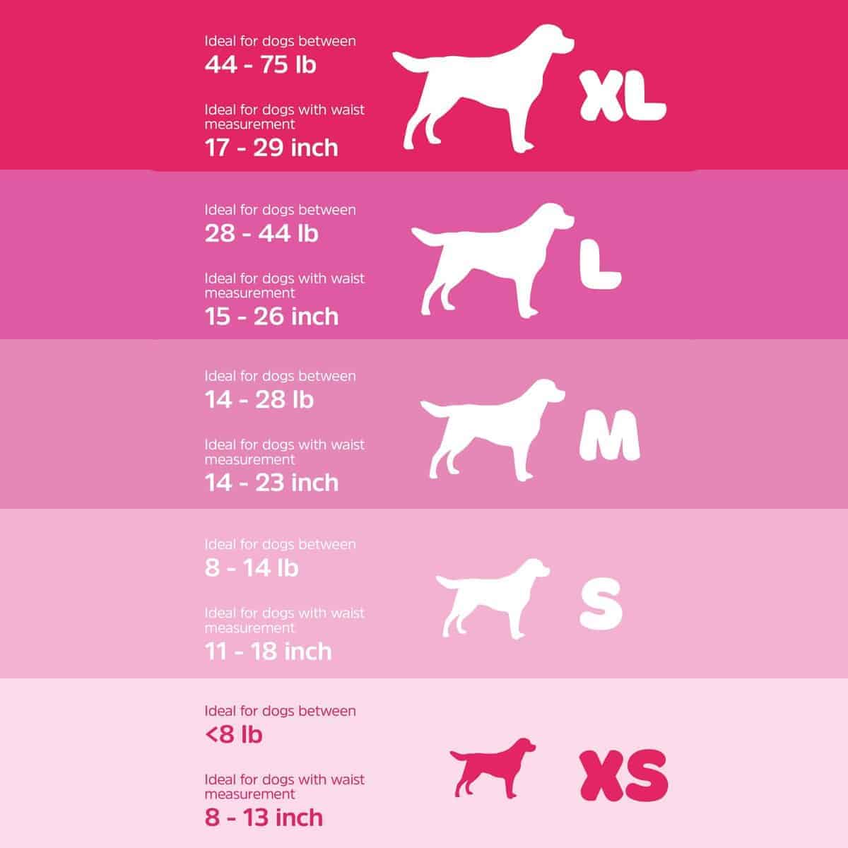 Pañales Desechables UltraDry para Perros WizSmart | Pañales - Imagen 5