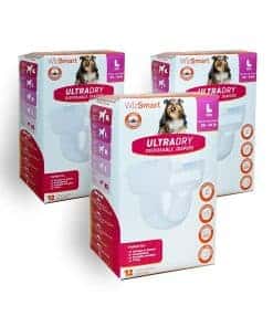 Pañales Desechables WizSmart UltraDry para Perros | Pañales