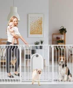 Puerta para Perros TSAYAWA con Puerta para Gatos, Barrera