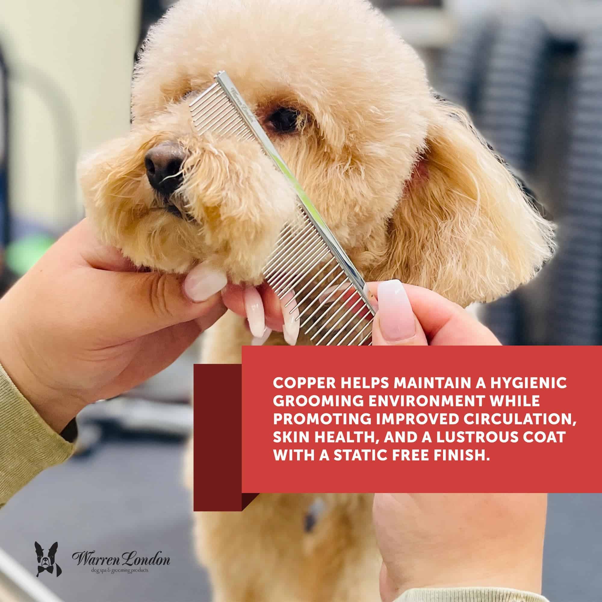 Peine Detallado con Forma de Media Luna de Cobre de Warren - Imagen 6