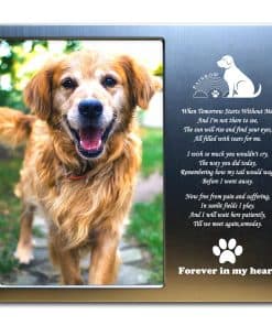 Regalos de Pérdida de Mascotas JOEZITON - Regalo