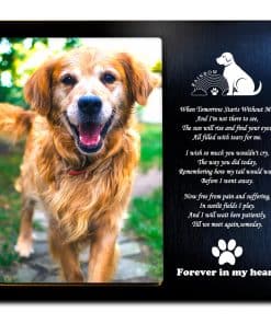 JOEZITON Regalos Perdida de Mascotas - Regalo conmemorativo