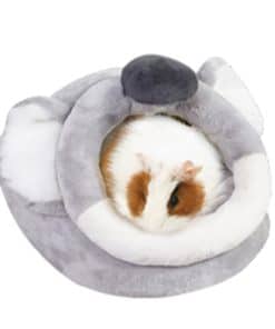 Casa y Escondite para Cobayas, Ratas, Dragones Barbudos,