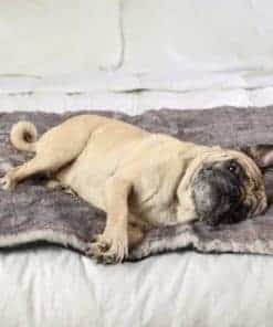 Manta de Cama Impermeable PAW BRANDS PupProtector� Luxe -