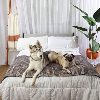 Manta de Cama Impermeable PAW BRANDS PupProtector� Luxe - - Imagen 7