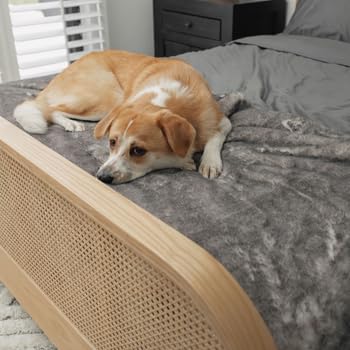 Manta de Cama Impermeable PAW BRANDS PupProtector� Luxe - - Imagen 8