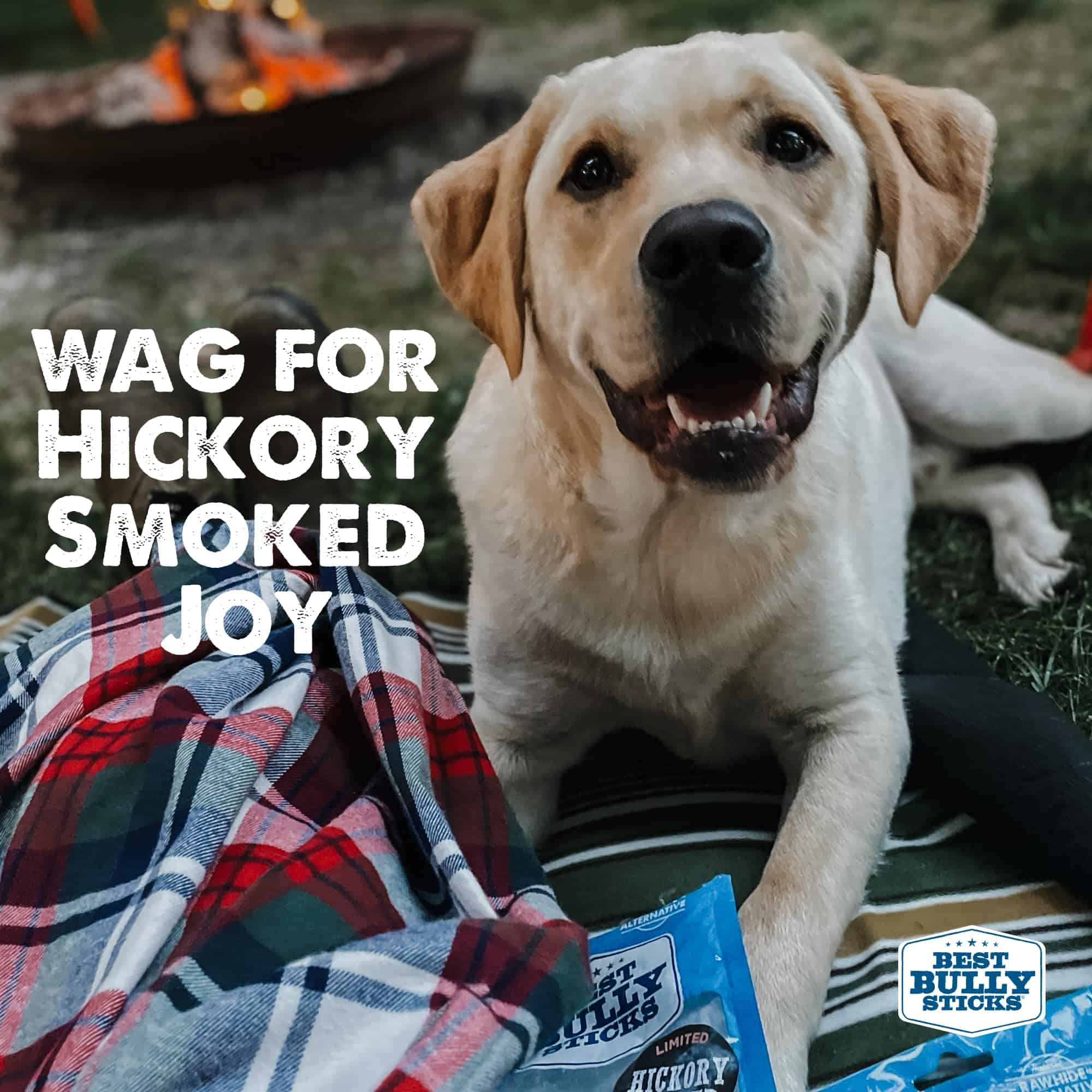 Palitos de Carne Ahumada de la Mejor Calidad para Perros de - Imagen 7