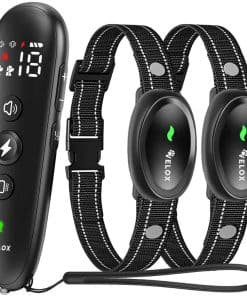 Collar para Perro Velox | Collar de Entrenamiento