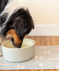 Tapete para mascotas, tapete para tazón de perro, tapete