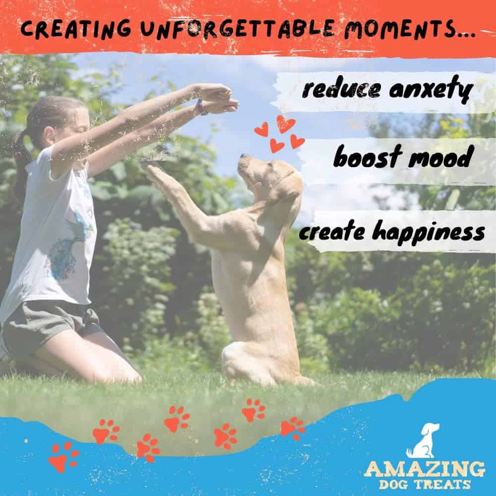 Palitos de Colágeno Increíbles para Perros - 6 Pulgadas - - Imagen 8