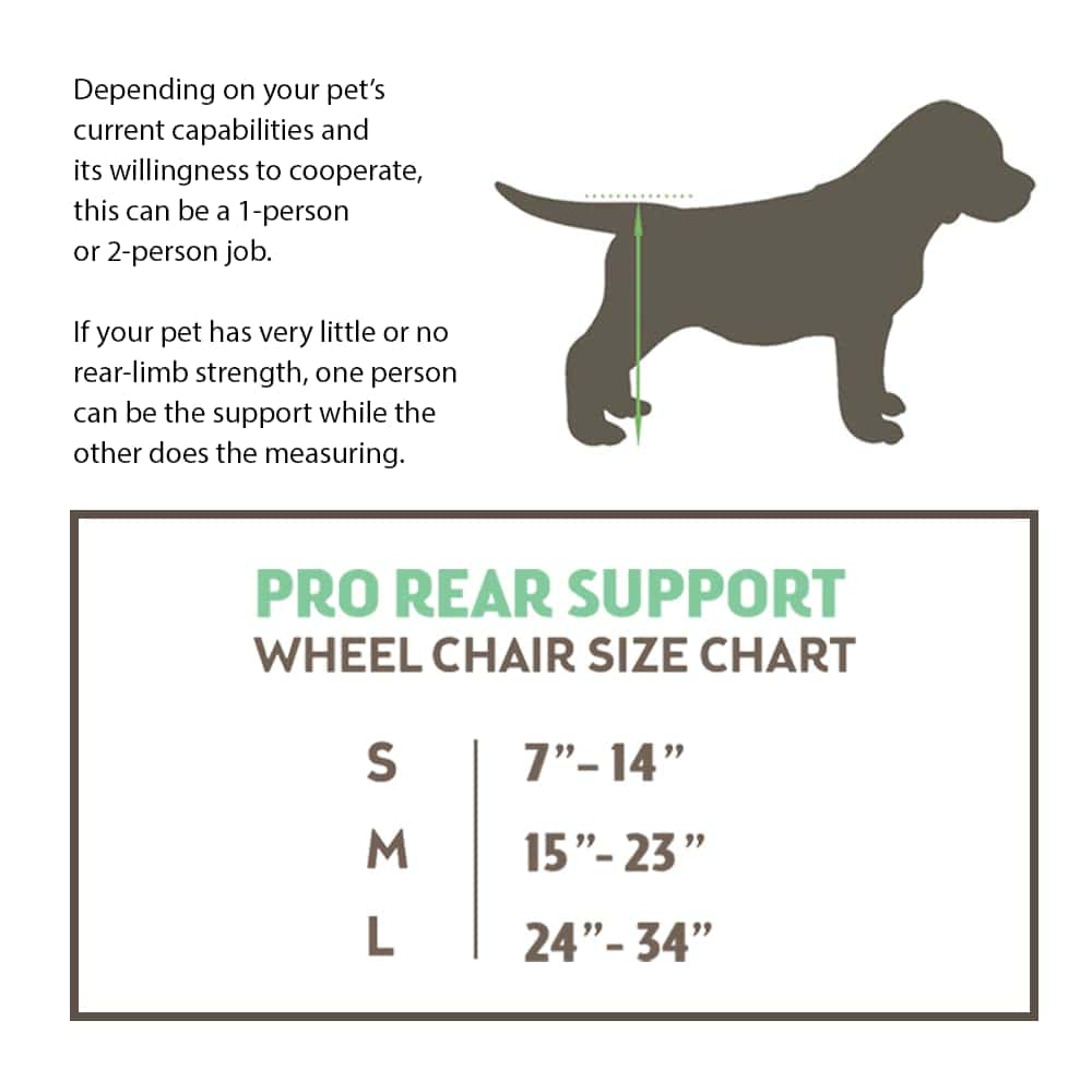 Silla de Ruedas para Perros Best Friend Mobility Pro Series - Imagen 6